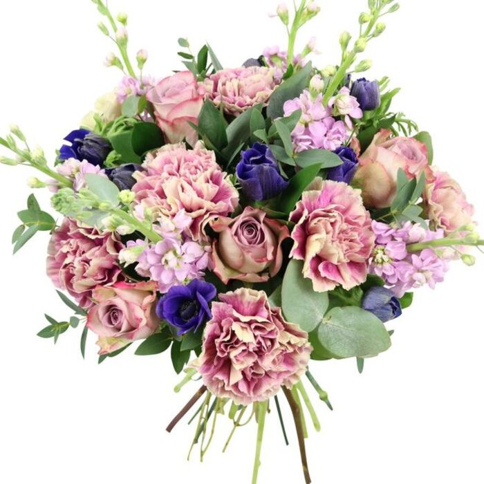 A richly detailed floral bouquet stands out strikingly against a seamless white background, its hand-tied stems gathered neatly so the flowers fan out in a well-balanced dome. At the centre, several garden roses are in full bloom, their petals layered in tight spirals that gradually relax into open, cup-shaped flowers. The colours of these roses range from pale blush and powder pink to deeper dusty mauve, evoking an antique, romantic feel. Surrounding them, ruffled carnations with intricate, scalloped edges create a plush, textured ring. Their petals fade from creamy beige and soft blush at the base to stronger rose and fuchsia at the tips, giving each bloom a subtle ombré effect that adds depth and movement. Breaking through this warm palette are strong accents of cool blue: deep indigo buds with a tulip-like shape, and a standout royal blue anemone whose dark centre lends a velvety intensity to the arrangement. Slender stems of lilac and pale purple stock emerge among the larger blooms, each stem studded with small, four-petalled blossoms that add airy volume and a hint of wild, garden-like character. Encircling the flowers is an assortment of foliage, including elongated dark green leaves and signature rounded eucalyptus in a soft, silvery green that arches outward and frames the bouquet. The tidy bundle of stems at the base reveals this is a fresh, hand-crafted design, the sort that might be prepared early in the morning at a local Sipson workshop before being sent out on same-day delivery. The harmonious mix of pinks, mauves, blues, and fresh greens suggests a bouquet perfect for springtime anniversaries, elegant birthday surprises, or simply brightening a home near Sipson with a touch of polished romance.